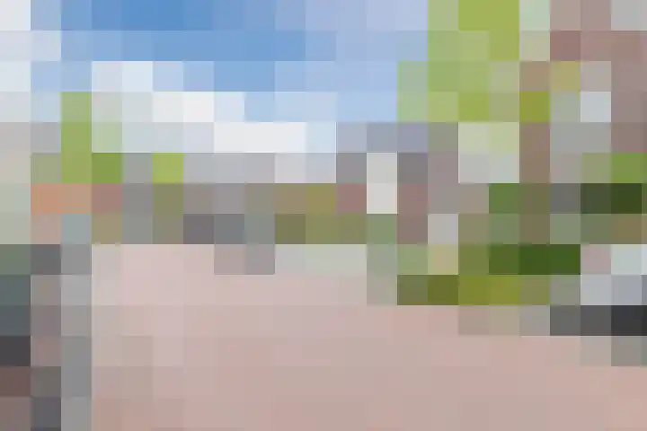 Watersnipweide 51 Renswoude thumbnail 37