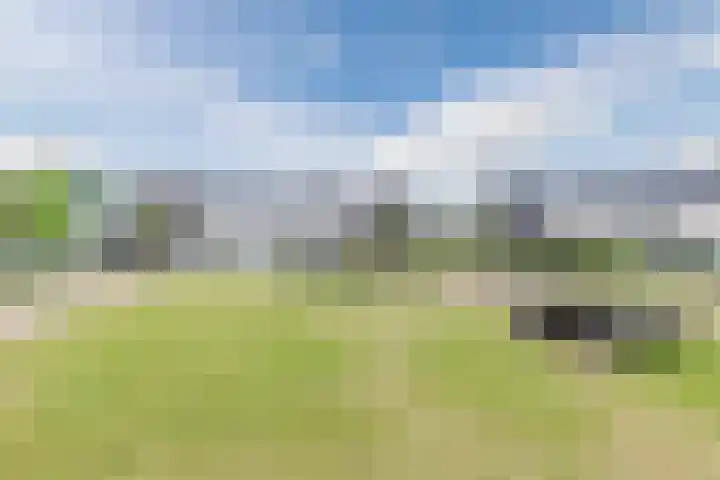 Watersnipweide 51 Renswoude thumbnail 38