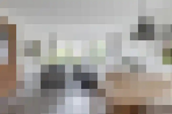 Watersnipweide 51 Renswoude thumbnail 5