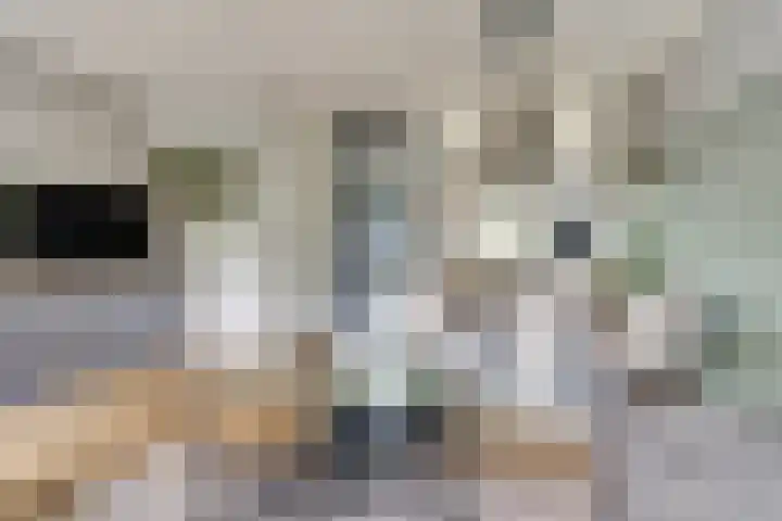 Watersnipweide 55 Renswoude thumbnail 10