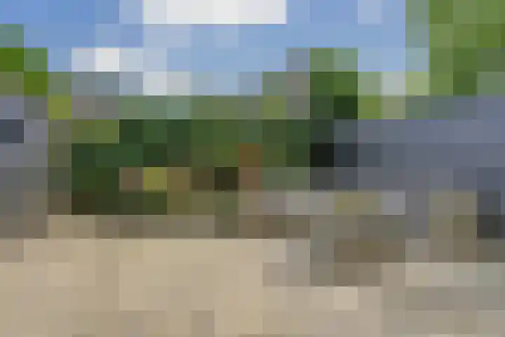 Watersnipweide 55 Renswoude thumbnail 16