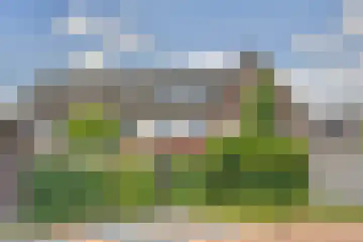 Watersnipweide 55 Renswoude thumbnail 17