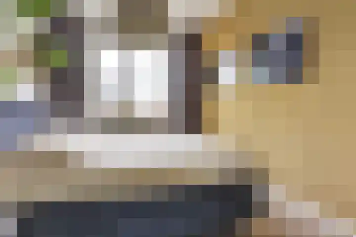 Watersnipweide 55 Renswoude thumbnail 20