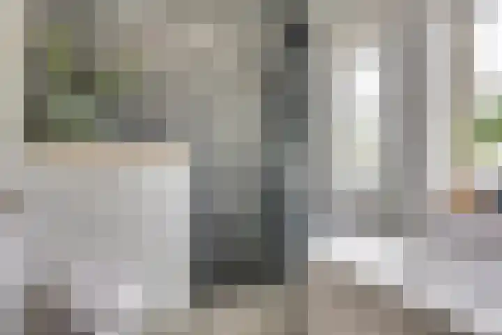 Watersnipweide 55 Renswoude thumbnail 26