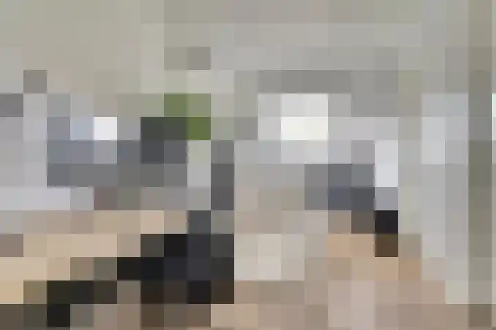 Watersnipweide 55 Renswoude thumbnail 30