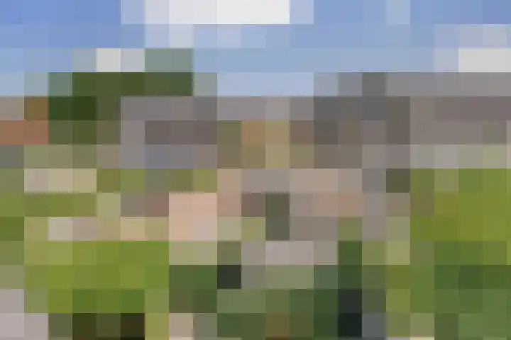 Watersnipweide 55 Renswoude thumbnail 35