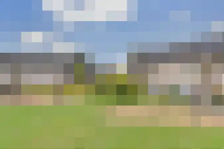 Watersnipweide 55 Renswoude thumbnail 36