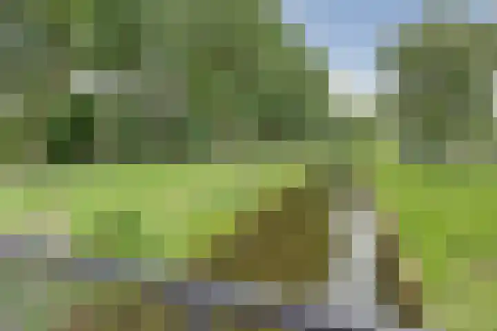 Watersnipweide 55 Renswoude thumbnail 38