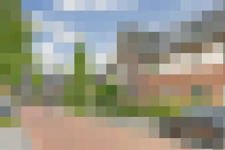 Watersnipweide 55 Renswoude thumbnail 4