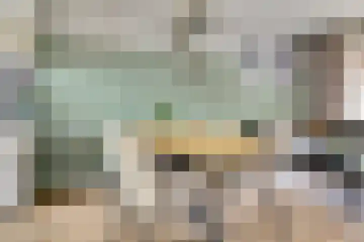 Watersnipweide 55 Renswoude thumbnail 6