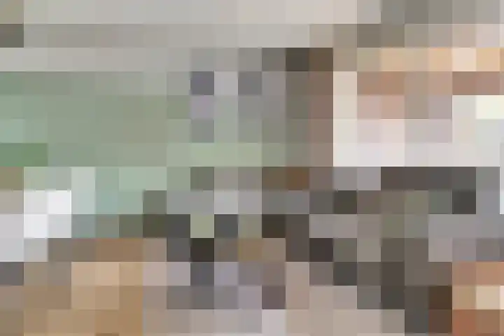 Watersnipweide 55 Renswoude thumbnail 7