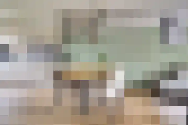 Watersnipweide 55 Renswoude thumbnail 8