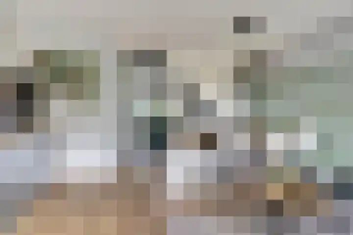 Watersnipweide 55 Renswoude thumbnail 9