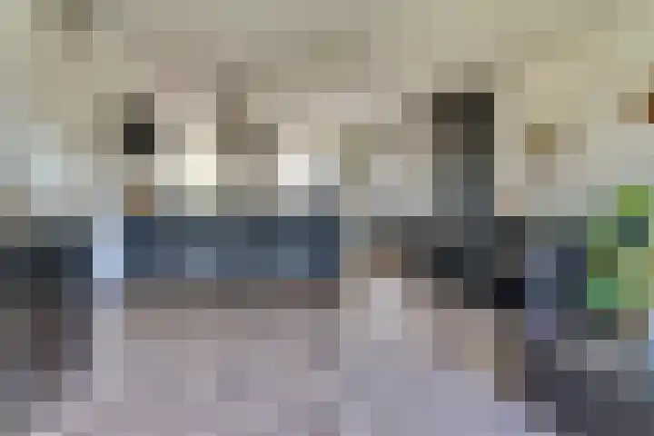 Watersnipweide 70 Renswoude thumbnail 10