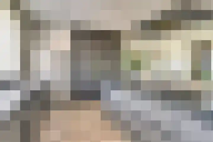 Watersnipweide 70 Renswoude thumbnail 13