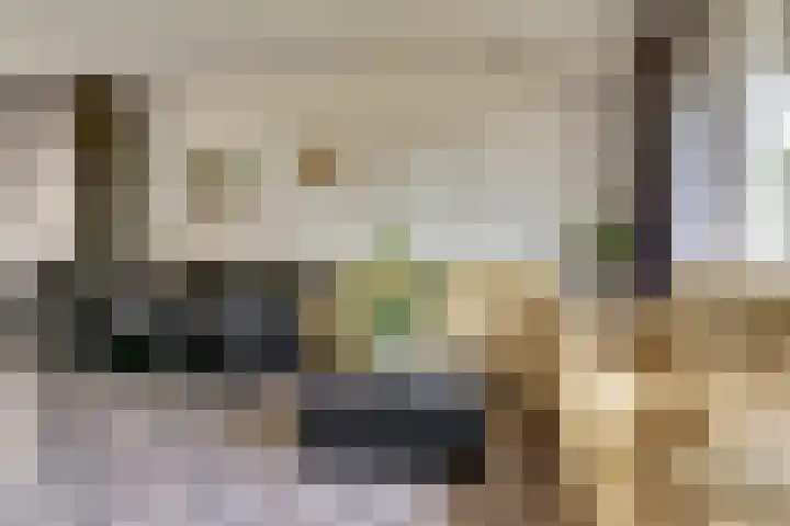 Watersnipweide 70 Renswoude thumbnail 14