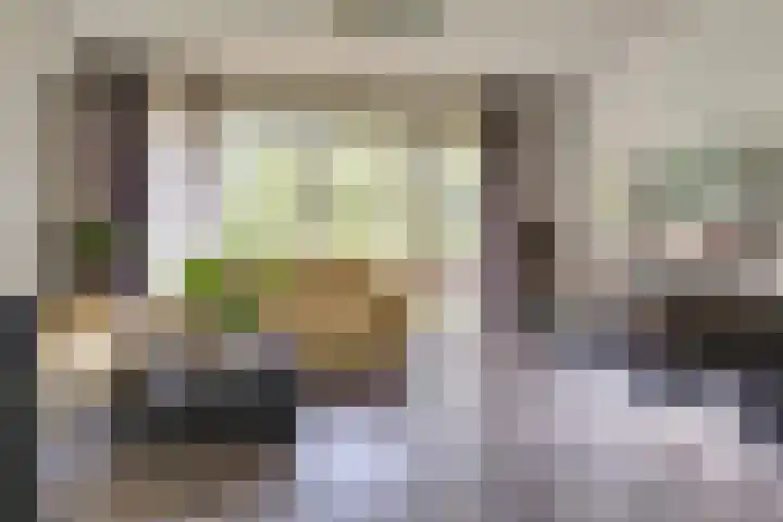 Watersnipweide 70 Renswoude thumbnail 17