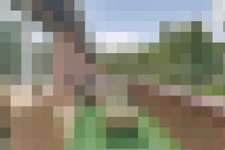 Watersnipweide 70 Renswoude thumbnail 18