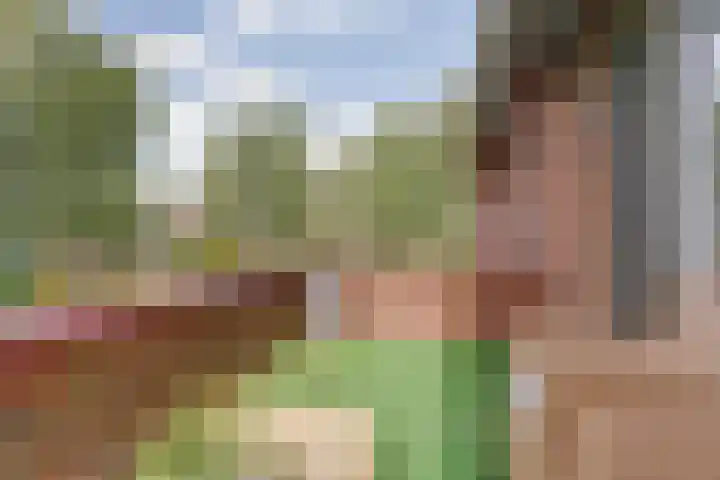 Watersnipweide 70 Renswoude thumbnail 19