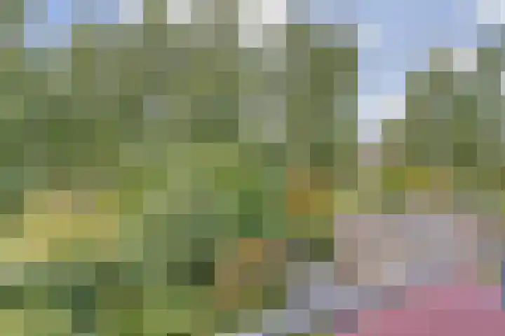Watersnipweide 70 Renswoude thumbnail 20