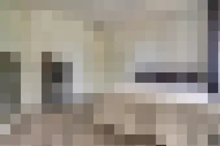 Watersnipweide 70 Renswoude thumbnail 28