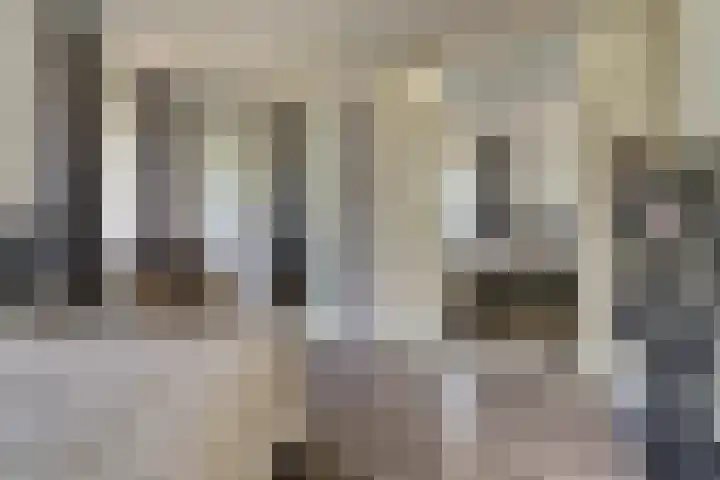 Watersnipweide 70 Renswoude thumbnail 29