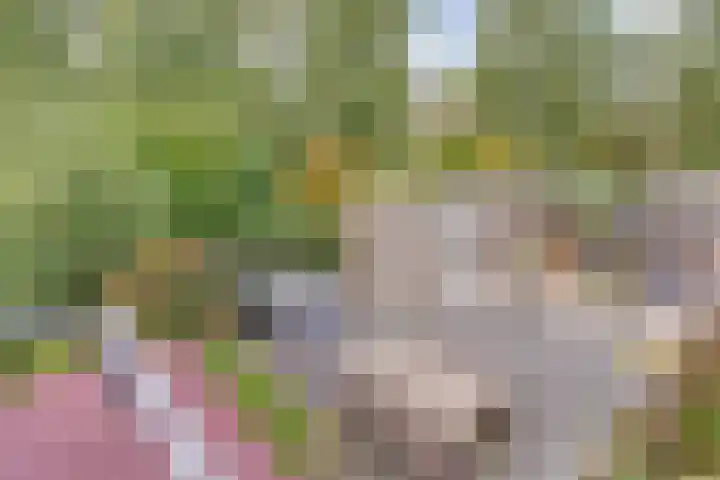 Watersnipweide 70 Renswoude thumbnail 30
