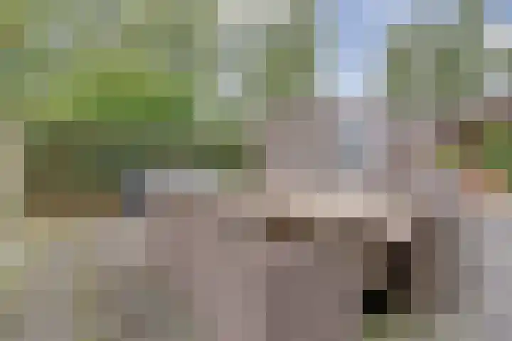 Watersnipweide 70 Renswoude thumbnail 33