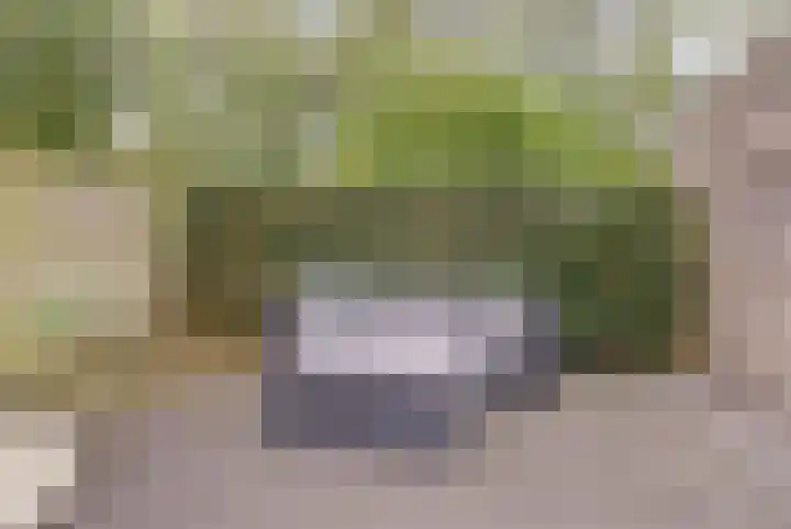 Watersnipweide 70 Renswoude thumbnail 34