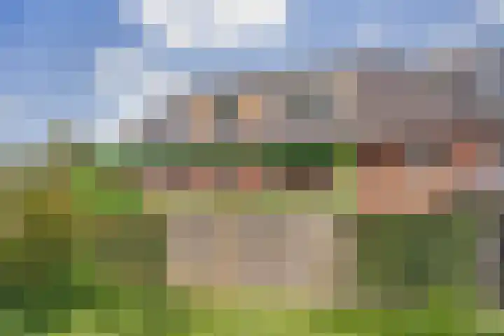 Watersnipweide 70 Renswoude thumbnail 37