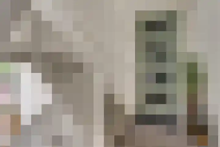 Watersnipweide 70 Renswoude thumbnail 8