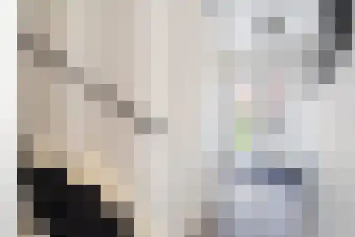 Watersnipweide 94 Renswoude thumbnail 12