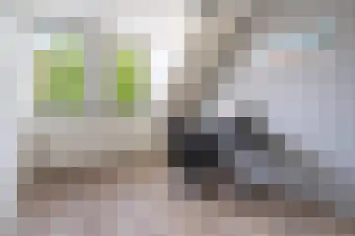 Watersnipweide 94 Renswoude thumbnail 16