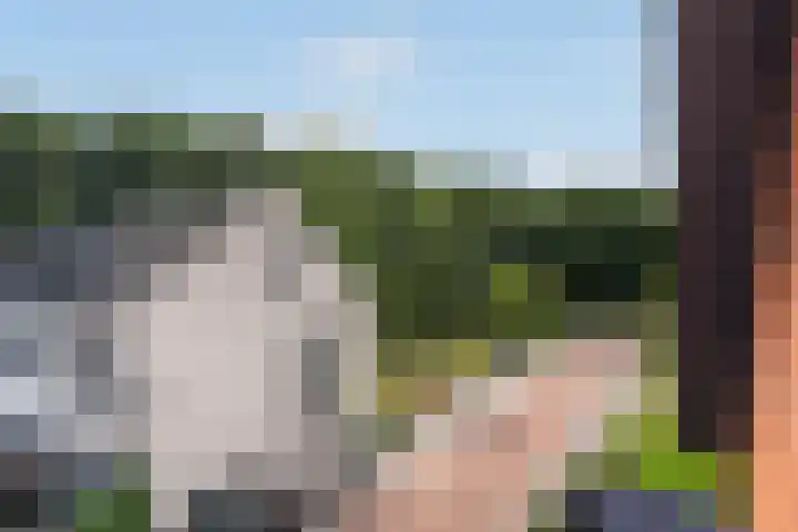 Watersnipweide 94 Renswoude thumbnail 25