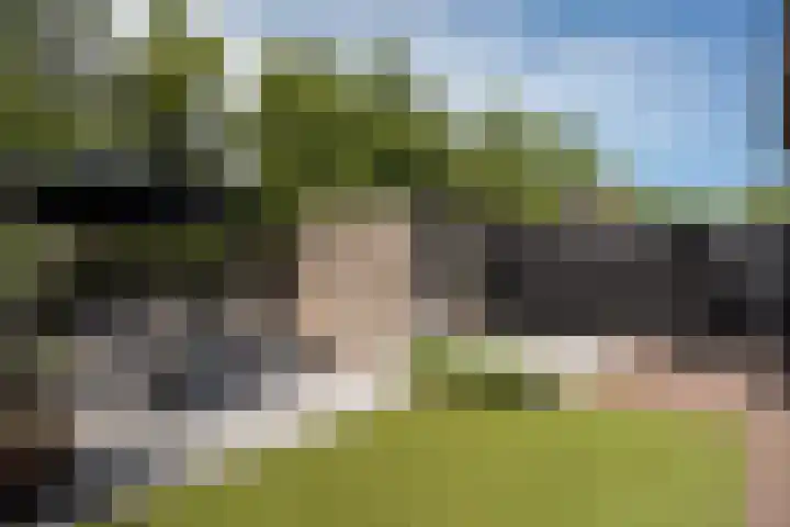 Watersnipweide 94 Renswoude thumbnail 26