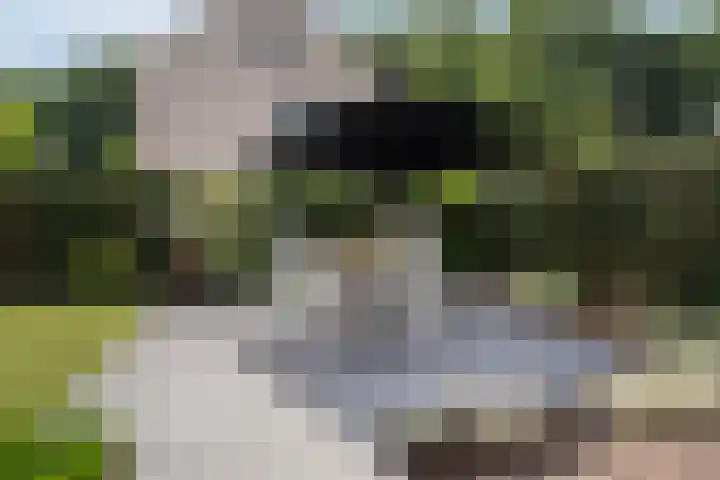 Watersnipweide 94 Renswoude thumbnail 28