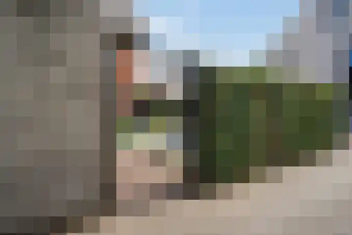 Watersnipweide 94 Renswoude thumbnail 31