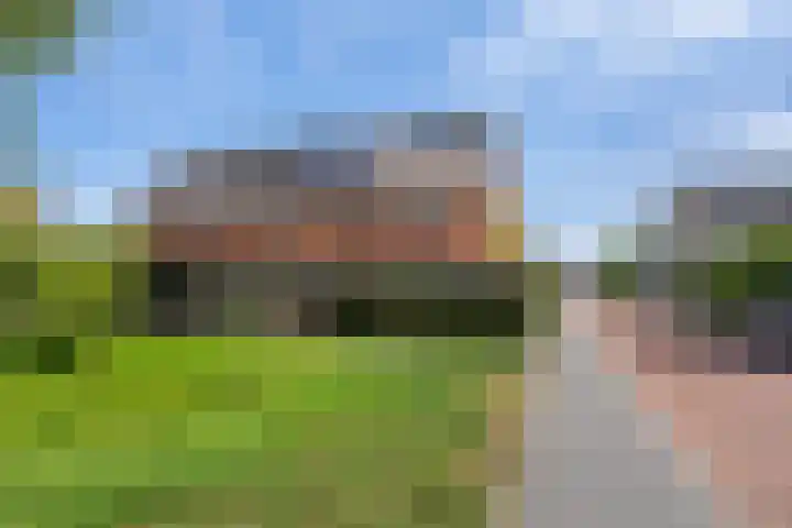 Watersnipweide 94 Renswoude thumbnail 32