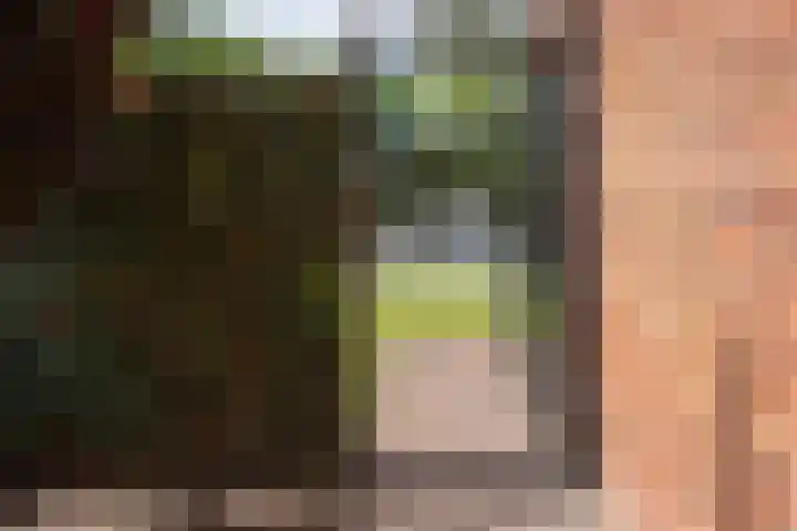 Watersnipweide 94 Renswoude thumbnail 34