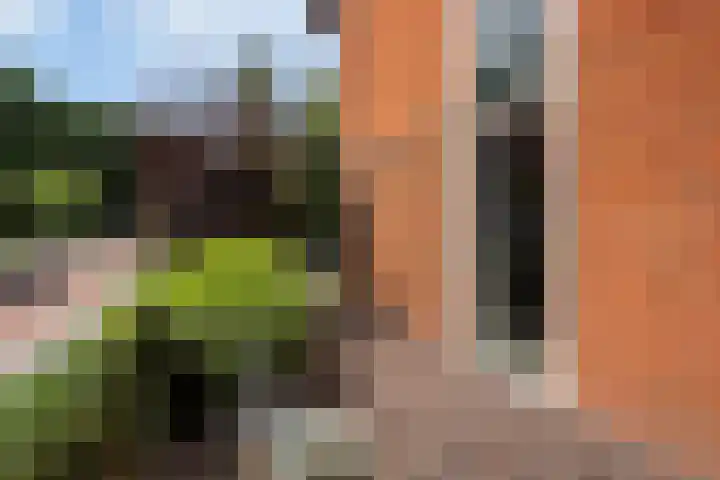 Watersnipweide 94 Renswoude thumbnail 35