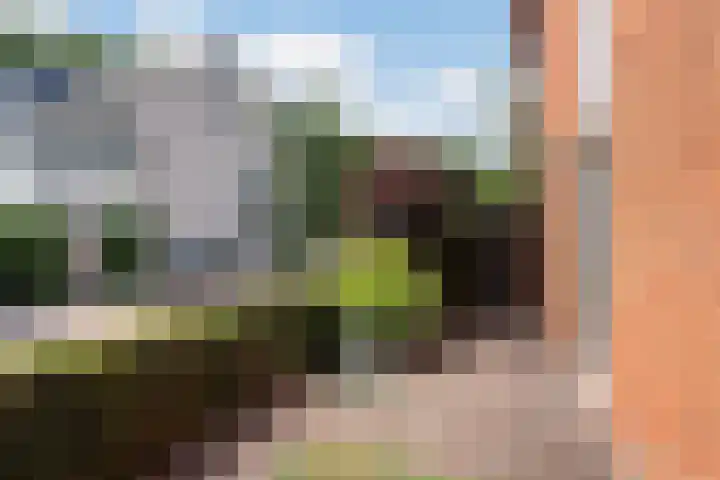 Watersnipweide 94 Renswoude thumbnail 36