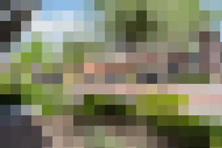 Watersnipweide 94 Renswoude thumbnail 38