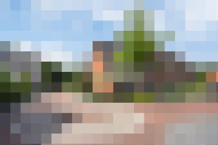 Watersnipweide 94 Renswoude thumbnail 39
