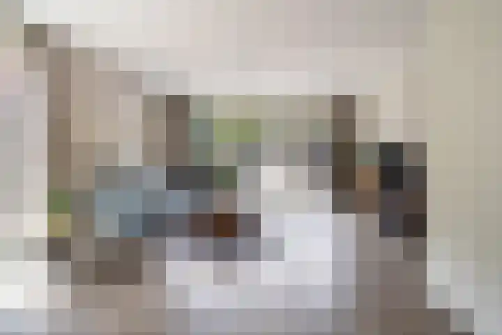 Watersnipweide 94 Renswoude thumbnail 4