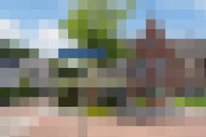 Watersnipweide 94 Renswoude thumbnail 40