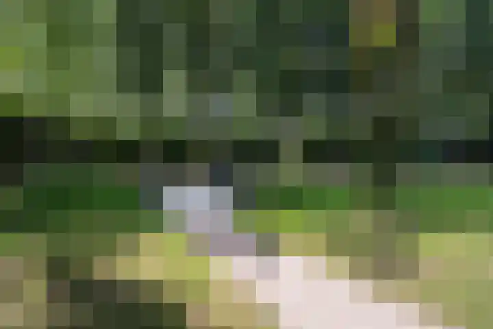 Watersnipweide 94 Renswoude thumbnail 41