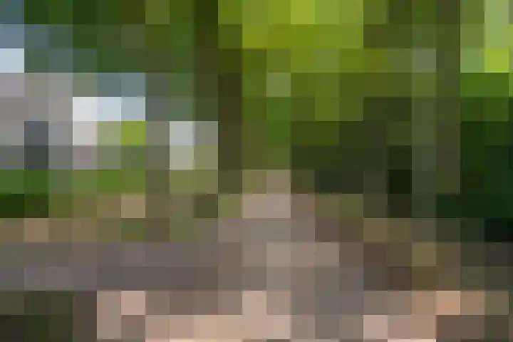 Watersnipweide 94 Renswoude thumbnail 42