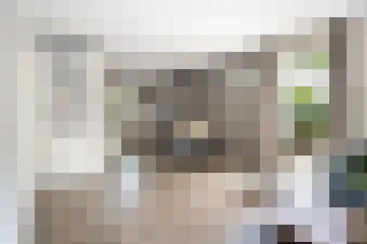 Watersnipweide 94 Renswoude thumbnail 7