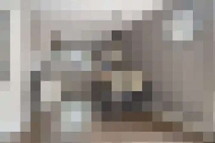 Watersnipweide 94 Renswoude thumbnail 8