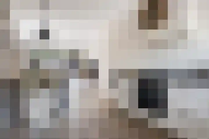 Watersnipweide 94 Renswoude thumbnail 9